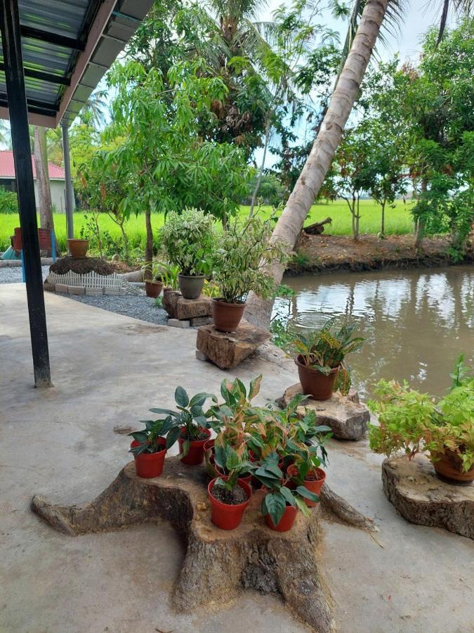 Pink Homestay D'Perlis Kangar Exterior photo