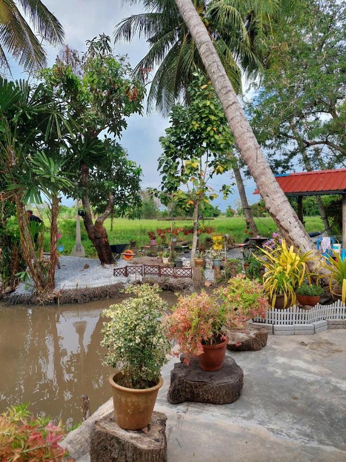 Pink Homestay D'Perlis Kangar Exterior photo