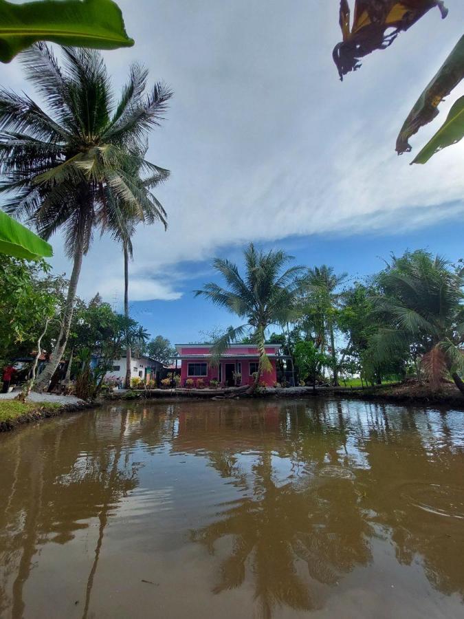 Pink Homestay D'Perlis Kangar Exterior photo